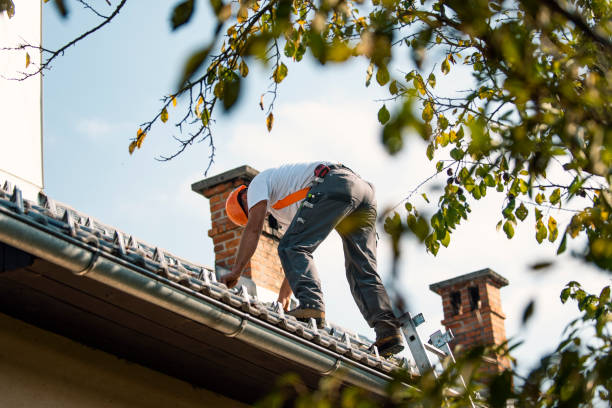 Best Roof Coating and Sealing  in Hamburg, PA
